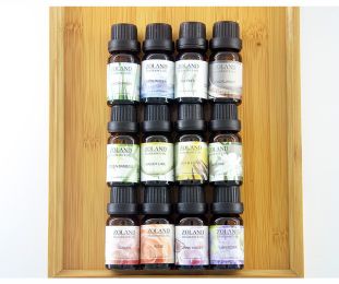 10ml diffuser aromatherapy oil (Option: Rose)