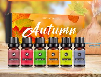 16 Theme Atmosphere Flameless Essential Oil Sets (Option: Autumn suit)