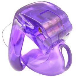 Men's Sexy Chastity Device Lock (Color: Purple)